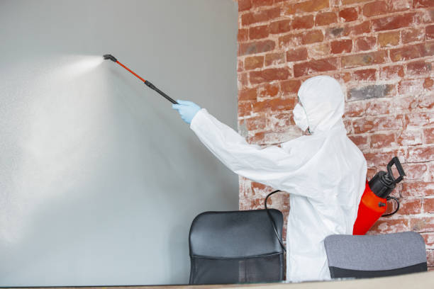 Mold Odor Removal Services in Butler, IN