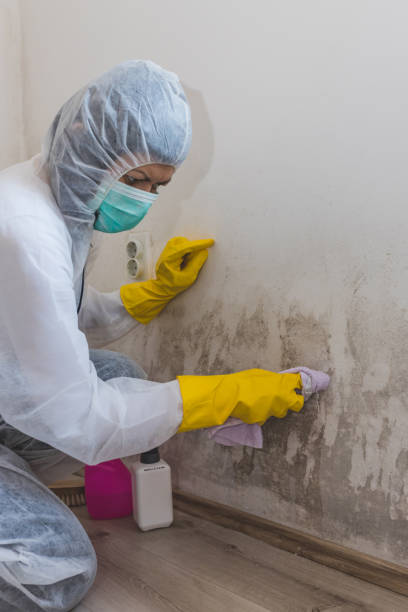 Best Residential Mold Inspection & Testing  in Butler, IN