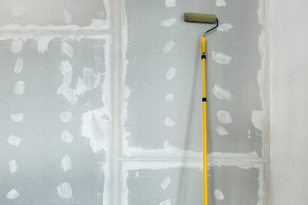Best Mold Documentation for Insurance Claims  in Butler, IN