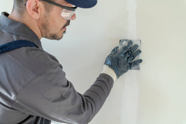 Best Mold Damage Restoration  in Butler, IN