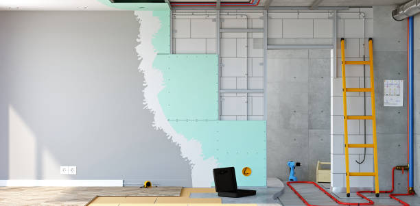 Best Airborne Mold Testing  in Butler, IN