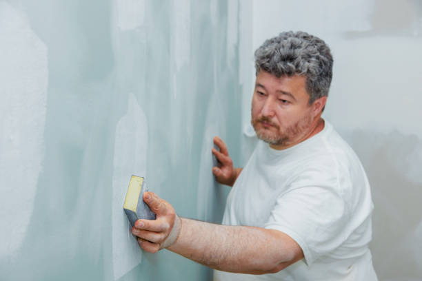 Professional Mold Removal in Butler, IN