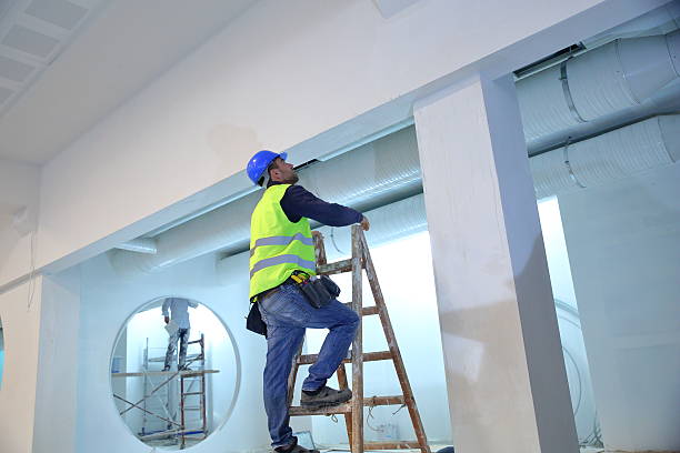 Best Mold Documentation for Insurance Claims  in Butler, IN