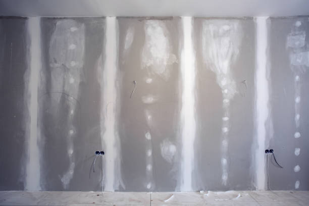 Best Mold Remediation for Healthcare Facilities  in Butler, IN